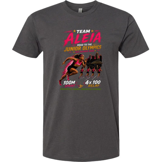 ADULT Team Aleia Full Chest Logo T Shirt | Hoodie | Long Sleeve | Sweatshirt | Crew Neck | Tank Top Fiesta Doodle T Shirt XS Charcoal waterproof vinyl sticker. dishwasher safe outdoor sticker.