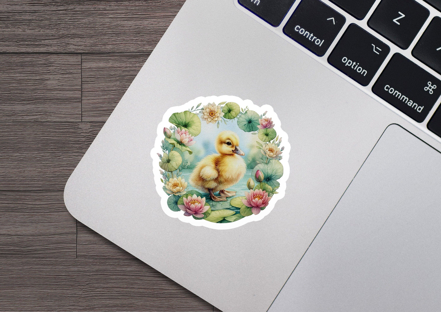 a sticker of a duck on a laptop keyboard