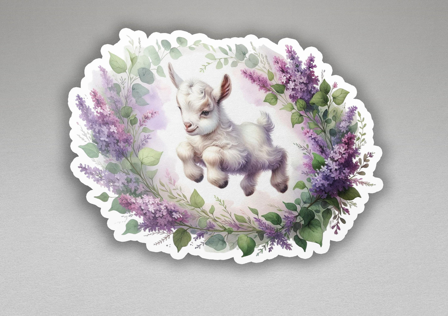 a plate with a picture of a baby goat on it