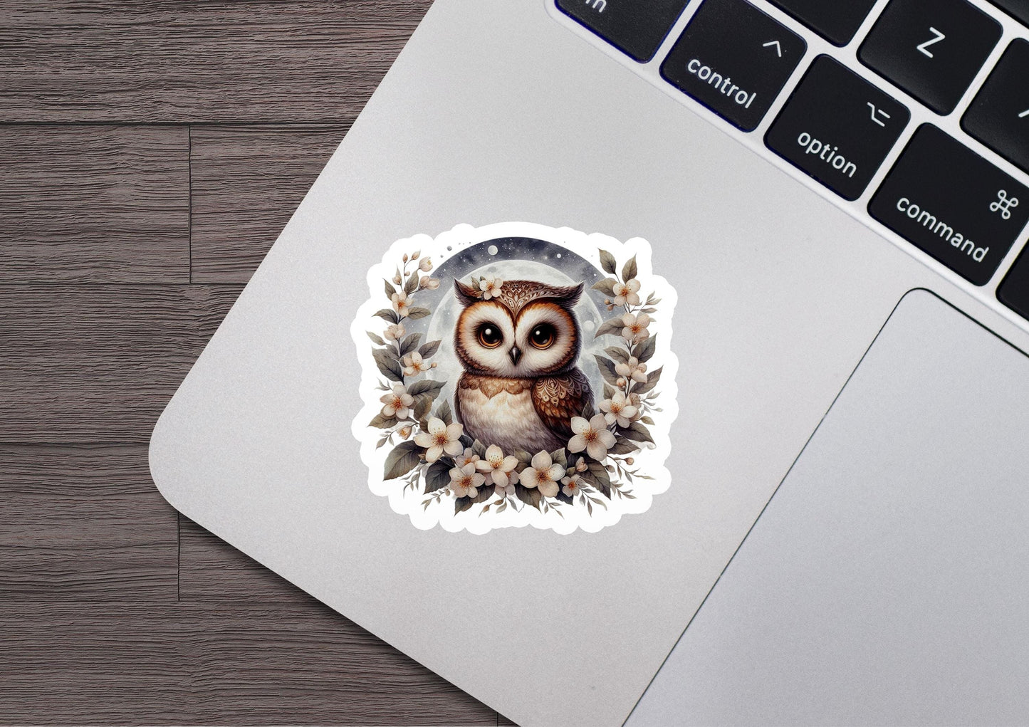an owl sticker on a laptop keyboard