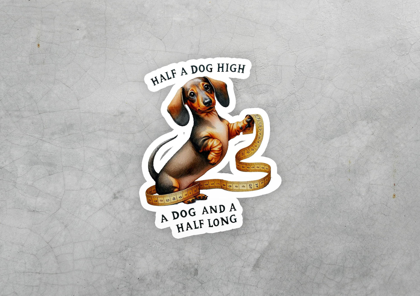 a sticker of a dachshund dog with a ribbon around its neck