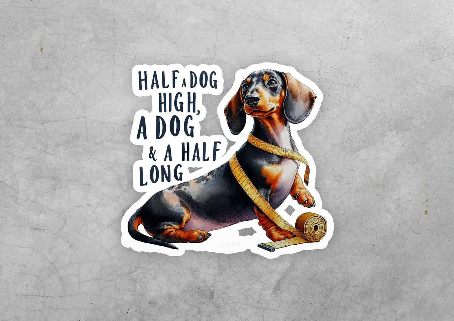 a sticker of a dachshund with a tape around its neck