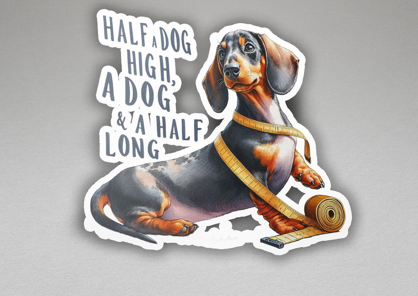 a sticker of a dachshund with a tape around its neck