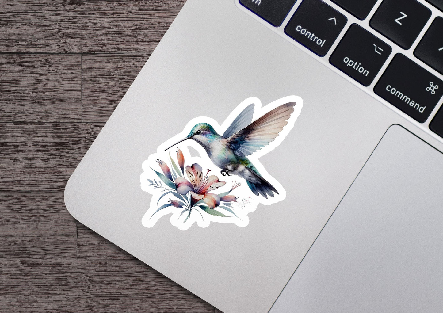 a laptop with a sticker of a hummingbird on it
