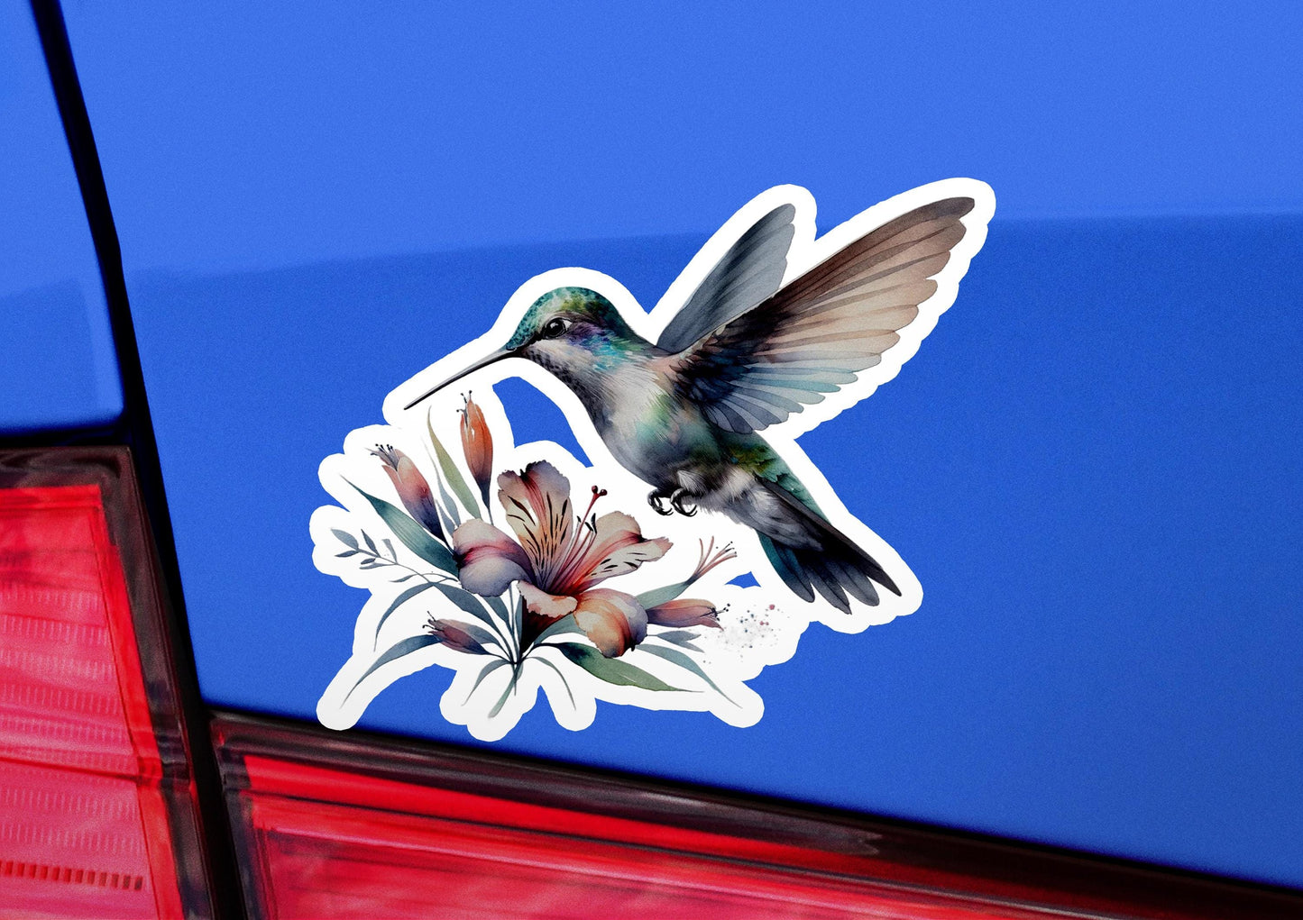 a sticker of a hummingbird on the back of a car
