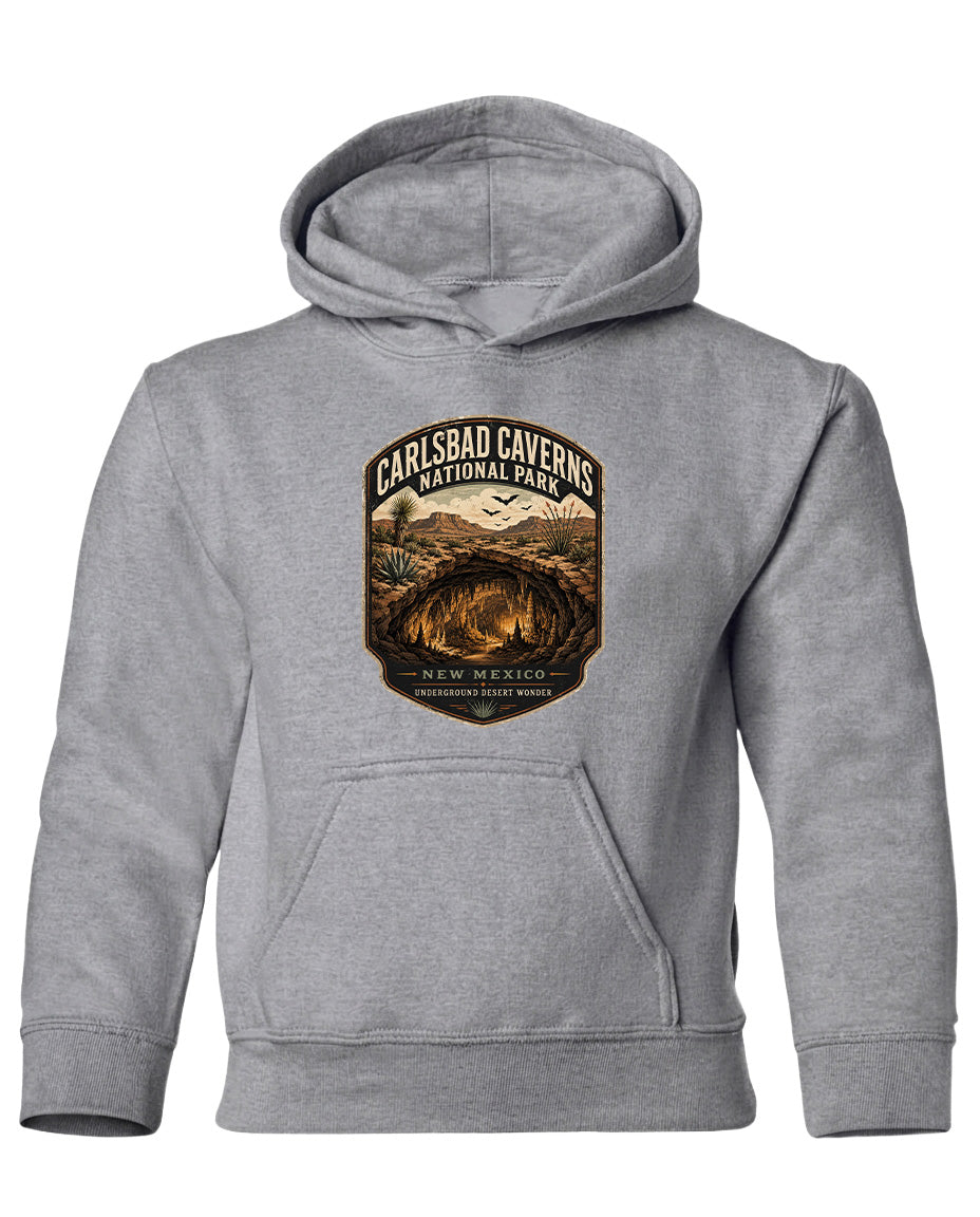 A gray hooded sweatshirt with a graphic design featuring a desert landscape and the text "CARLSBAD CAVENS NATIONAL PARK" printed on it.
