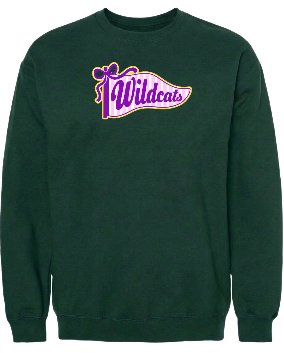 A dark green sweatshirt with a purple and yellow graphic on the front that says "Wildcats".