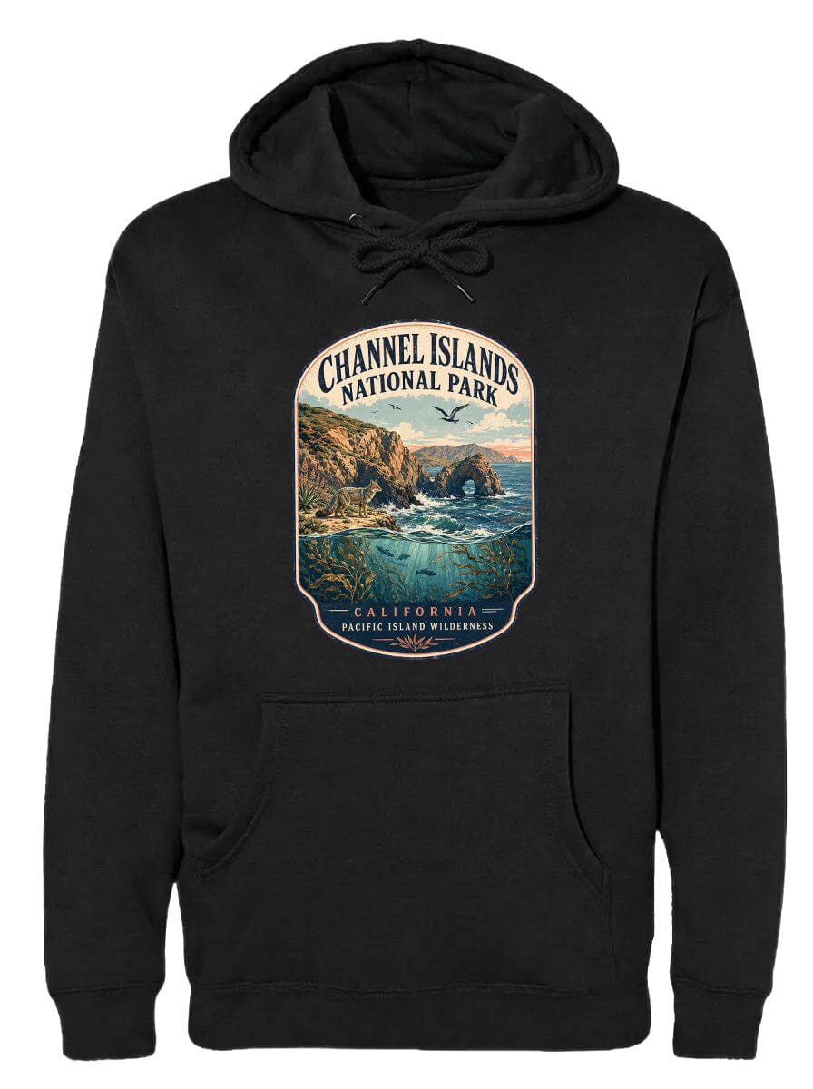 A black hoodie with a graphic design depicting a scenic landscape, including a body of water, mountains, and a bird in flight.
