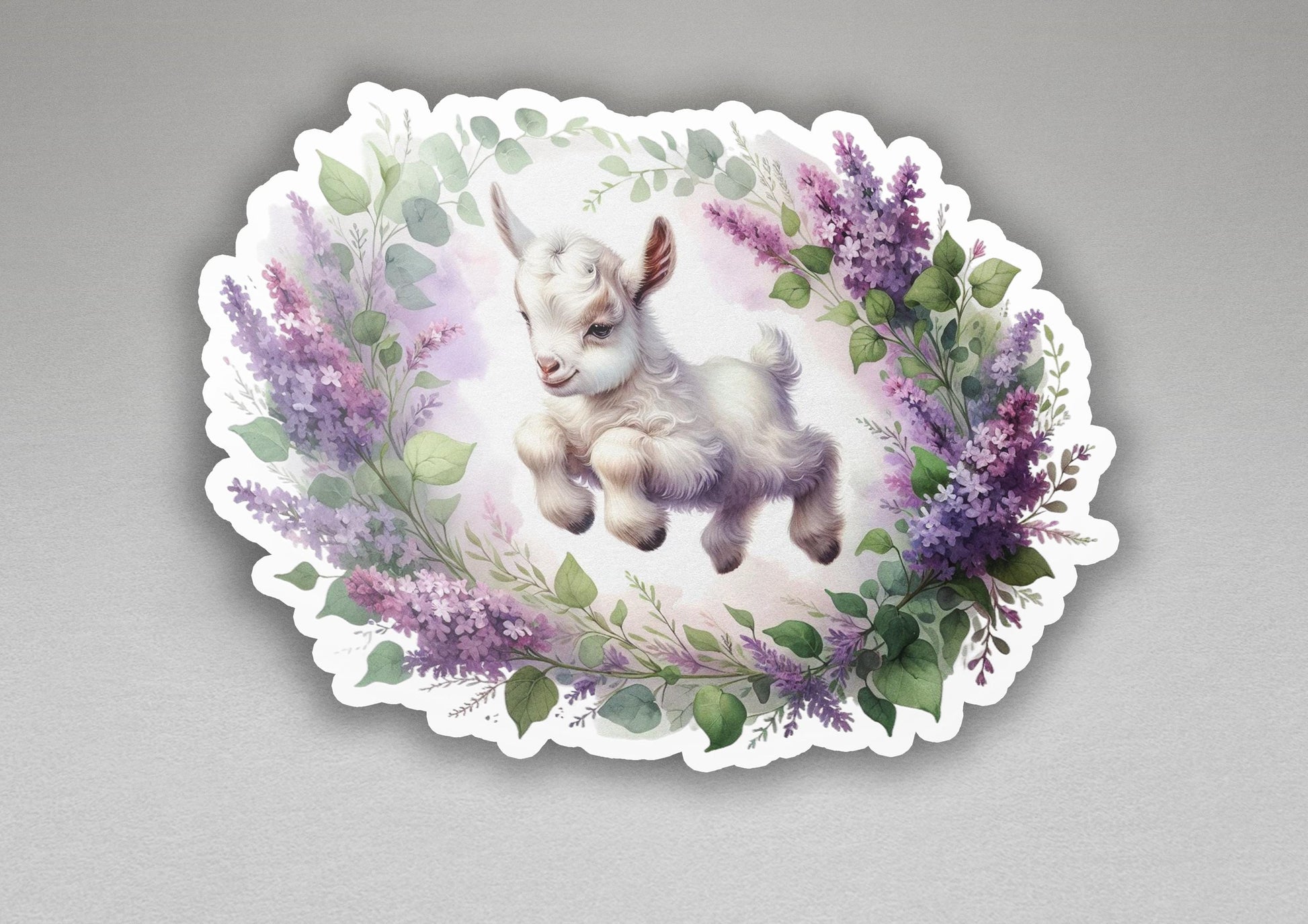 a plate with a picture of a baby goat on it