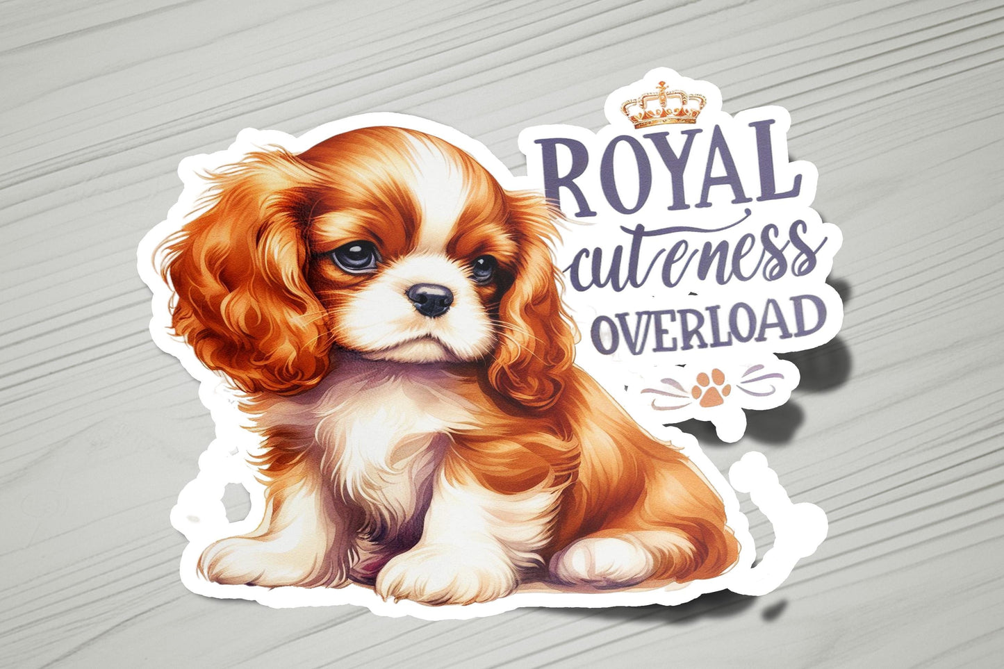 a brown and white puppy sitting on top of a wooden floor