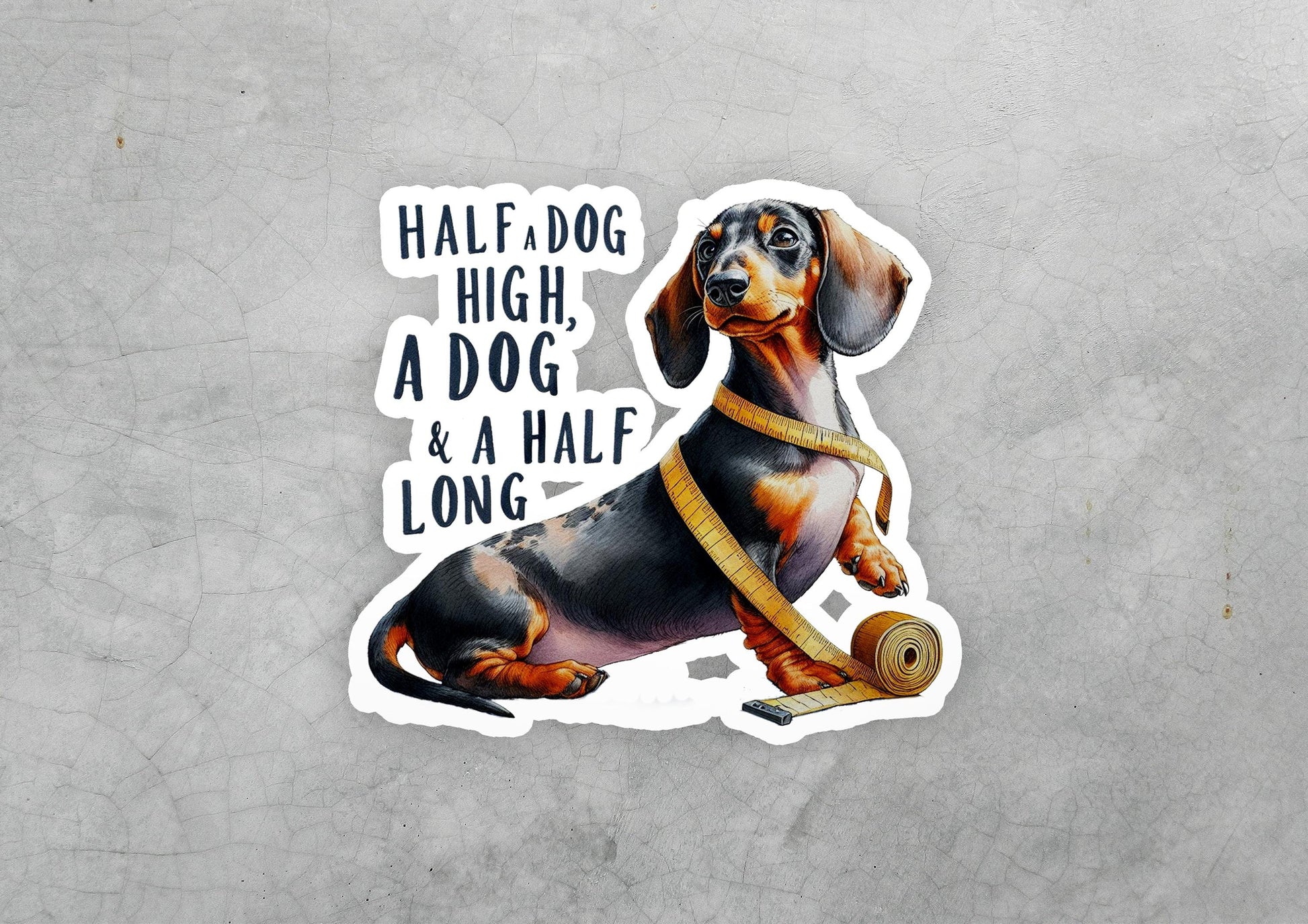 a sticker of a dachshund with a tape around its neck