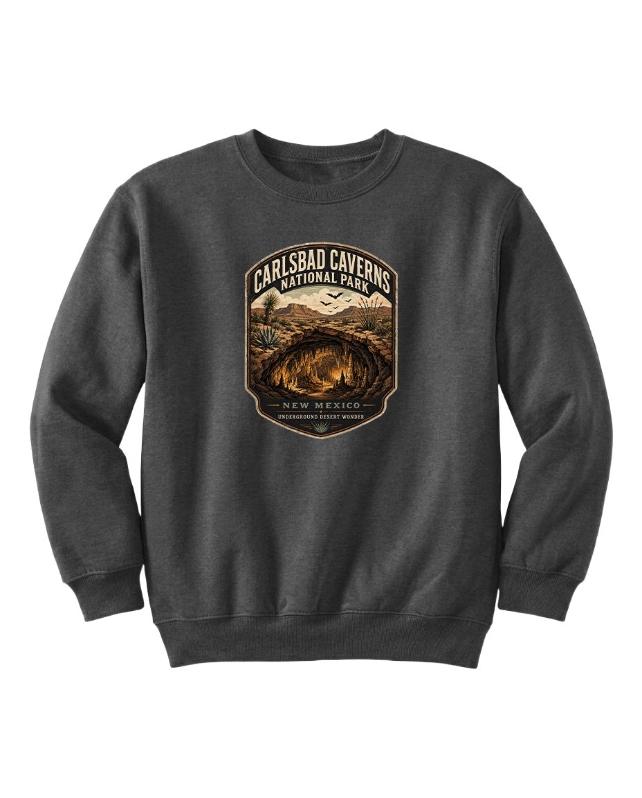 A gray sweatshirt with a graphic design featuring a desert landscape and the text "CARLSBAD CAVERSNATIONAL PARK NEW MEXICO UNDERGROUND WONDER".