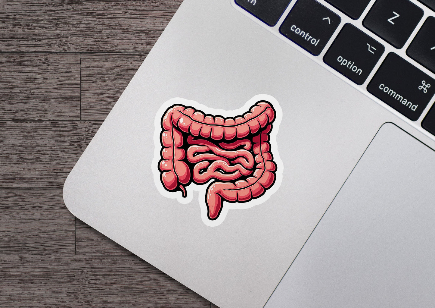 a sticker of a stomach on a laptop