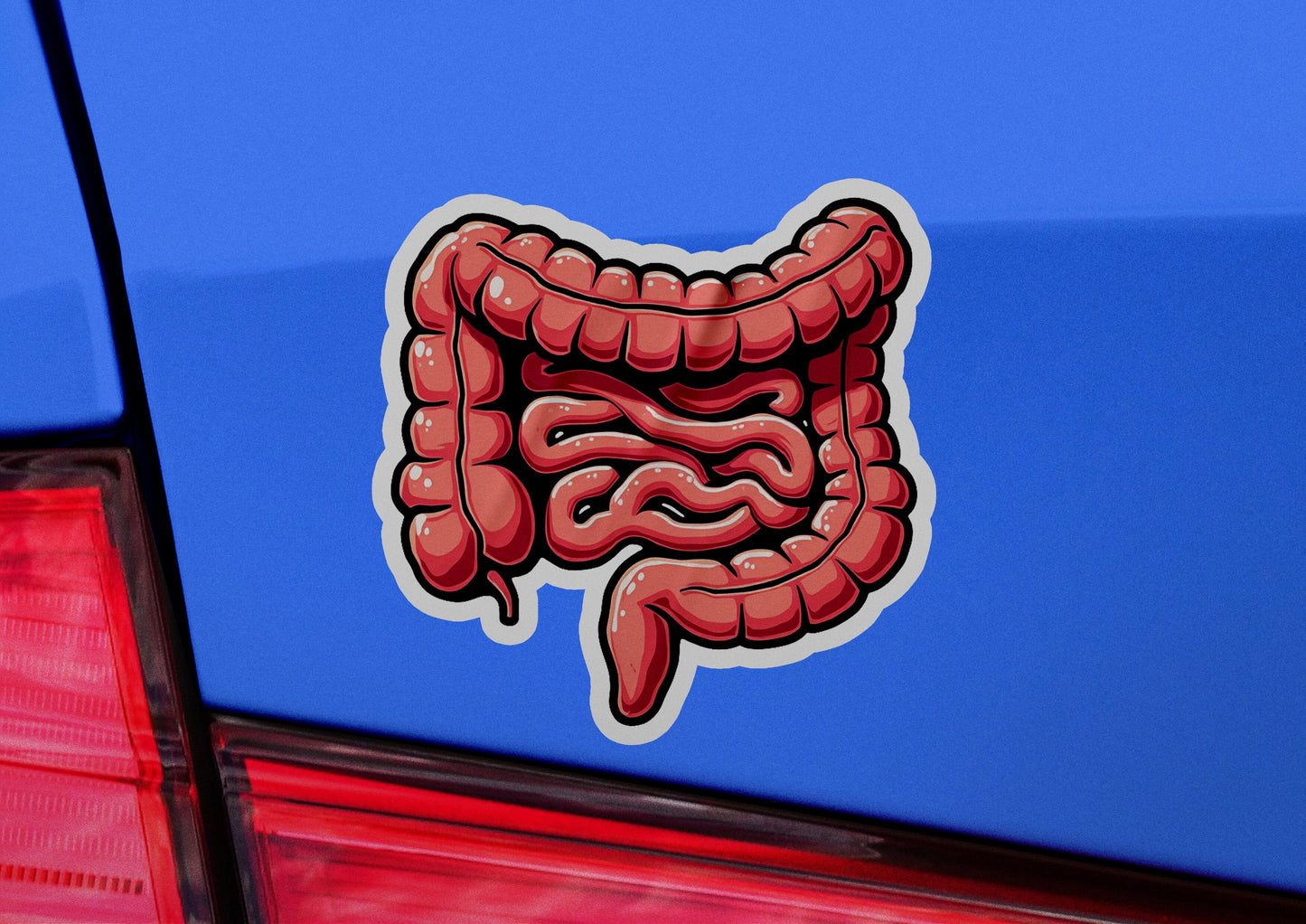 a sticker of a stomach on the back of a car