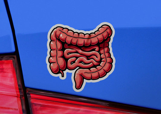a sticker of a stomach on the back of a car