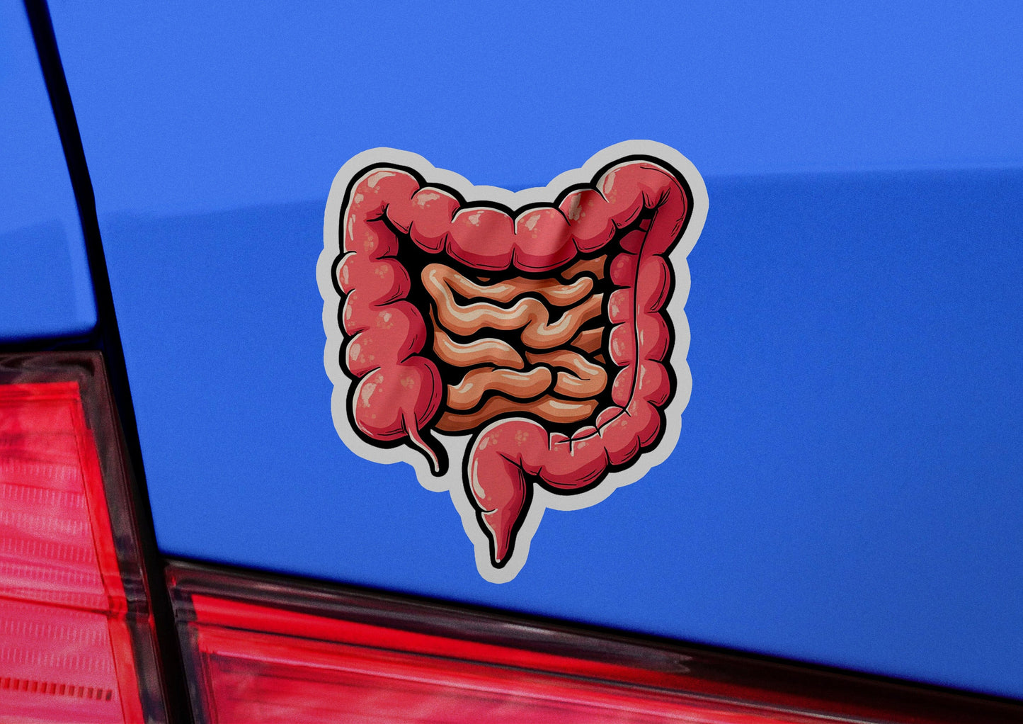 a sticker of a stomach on the back of a car