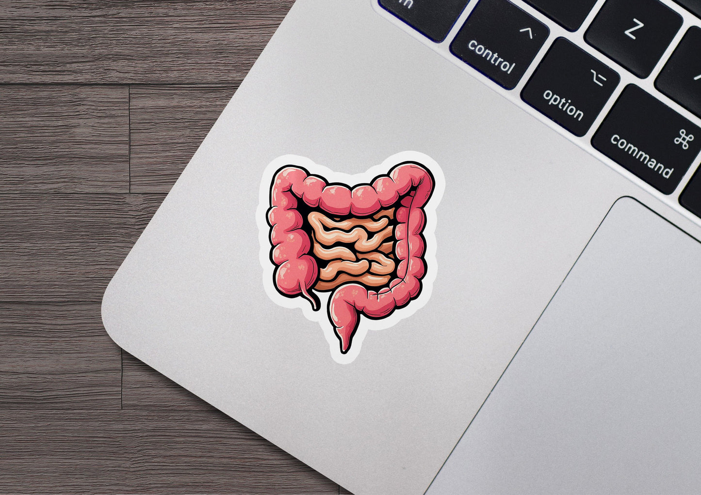 a sticker of a stomach on a laptop