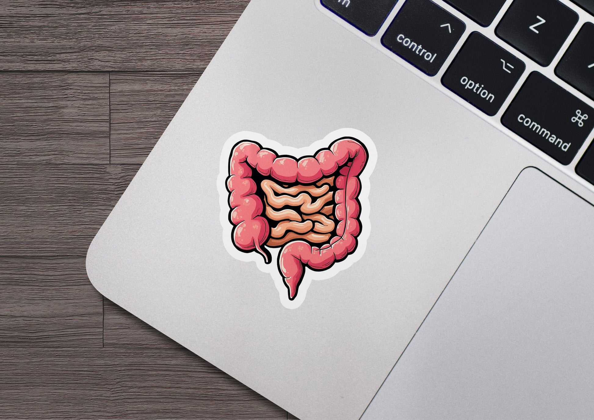 a sticker of a stomach on a laptop