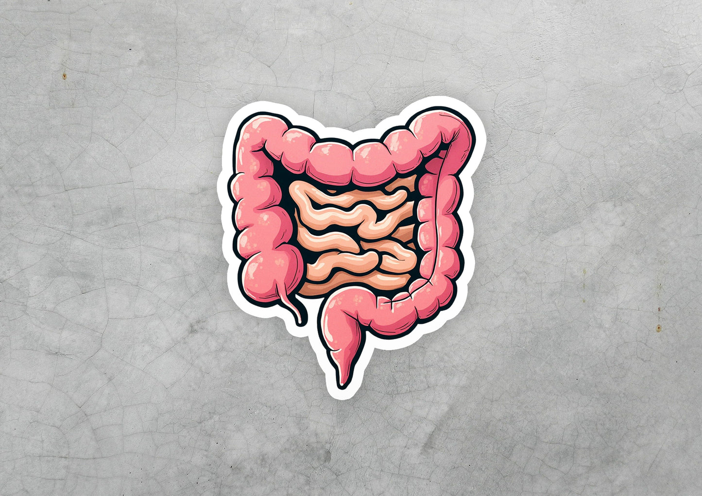 a sticker of a human stomach on a gray background