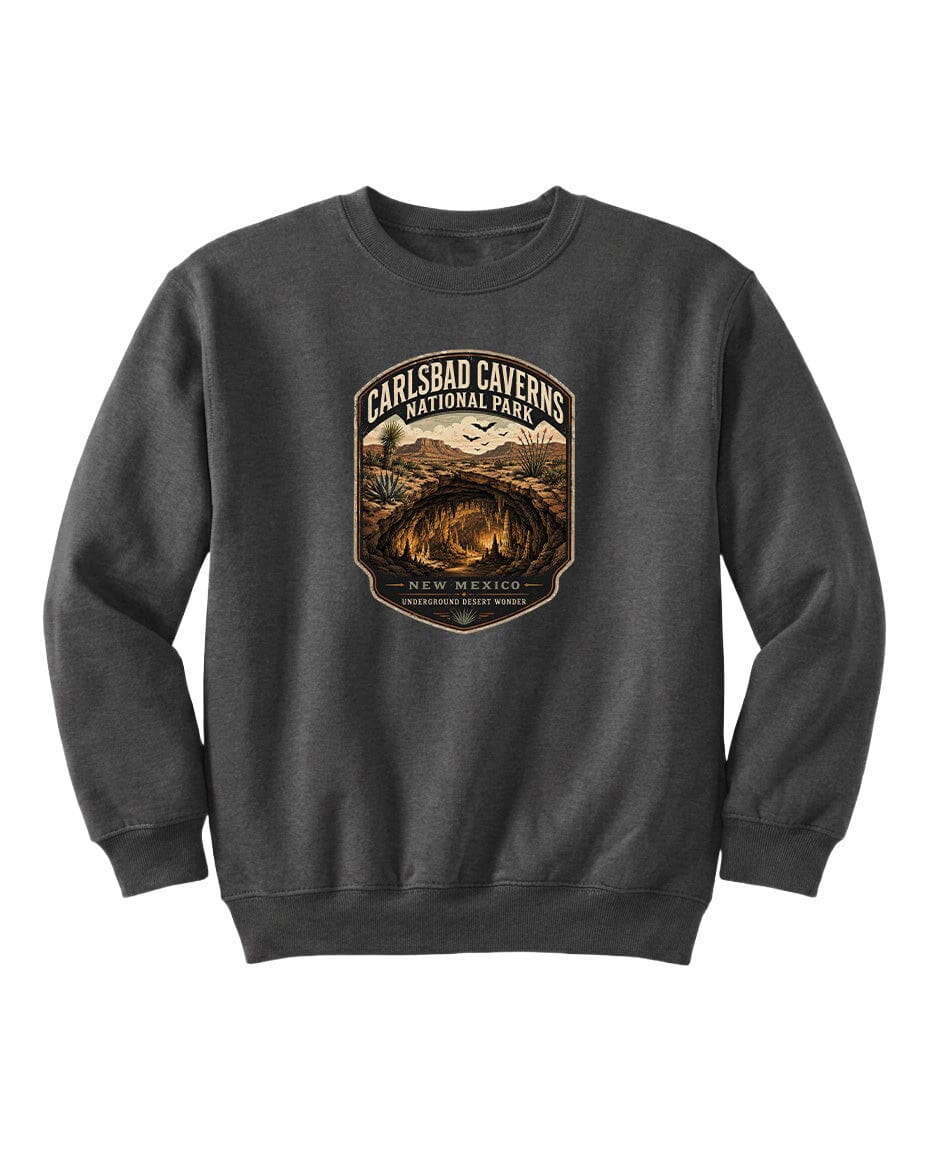 A gray sweatshirt with a graphic design featuring a desert landscape and the text "CARLSBAD CAVERSNATIONAL PARK NEW MEXICO UNDERGROUND WONDER".