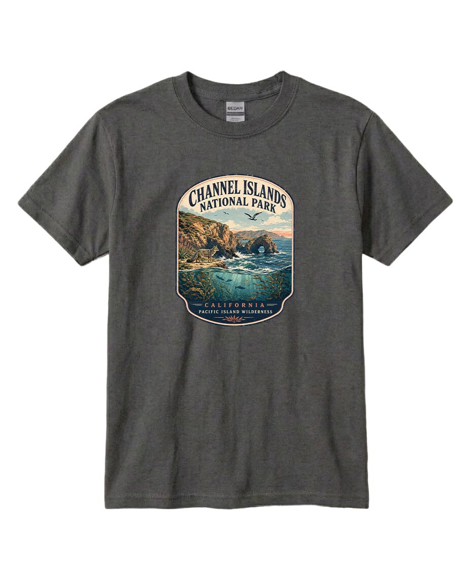 A gray t-shirt with a graphic design depicting a scenic coastal landscape, including cliffs, water, and a bird in flight.