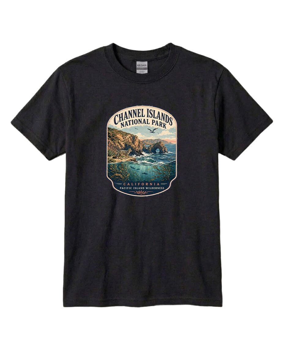 A black t-shirt with a graphic design depicting a scenic coastal landscape, including cliffs, water, and a bird in flight.