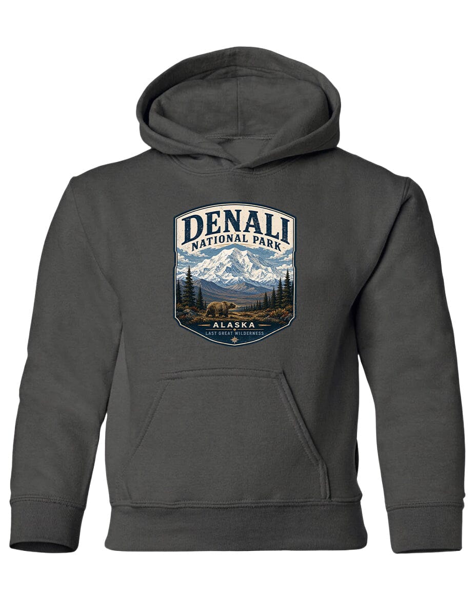 A gray hooded sweatshirt with a graphic design featuring a mountain landscape and the text "DENALI NATIONAL PARK ALASKA" printed on it.