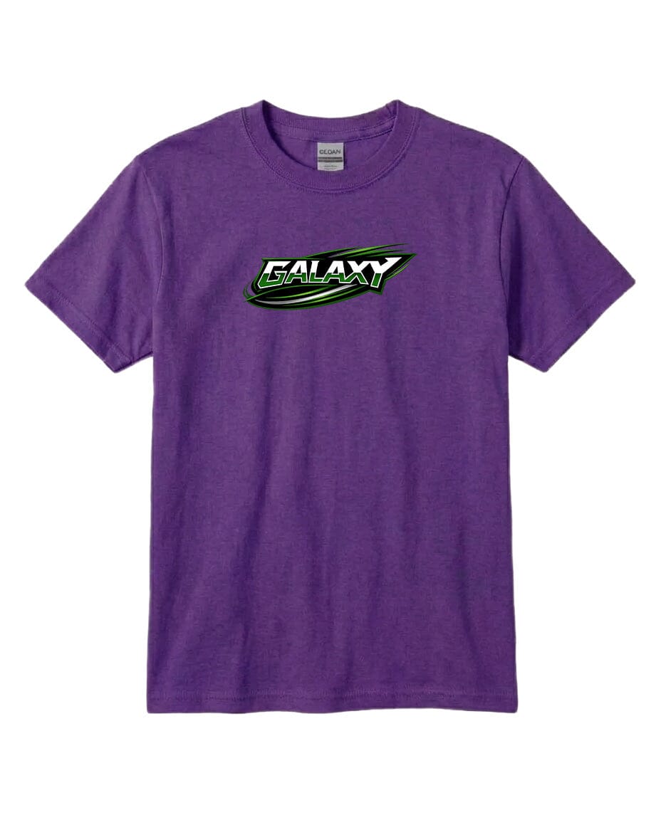 Youth Galaxy BA Chest Logo T Shirt | Hoodie | Long Sleeve | Sweatshirt | Crew Neck | Tank Top Fiesta Doodle T Shirt YXS Purple waterproof vinyl sticker. dishwasher safe outdoor sticker.
