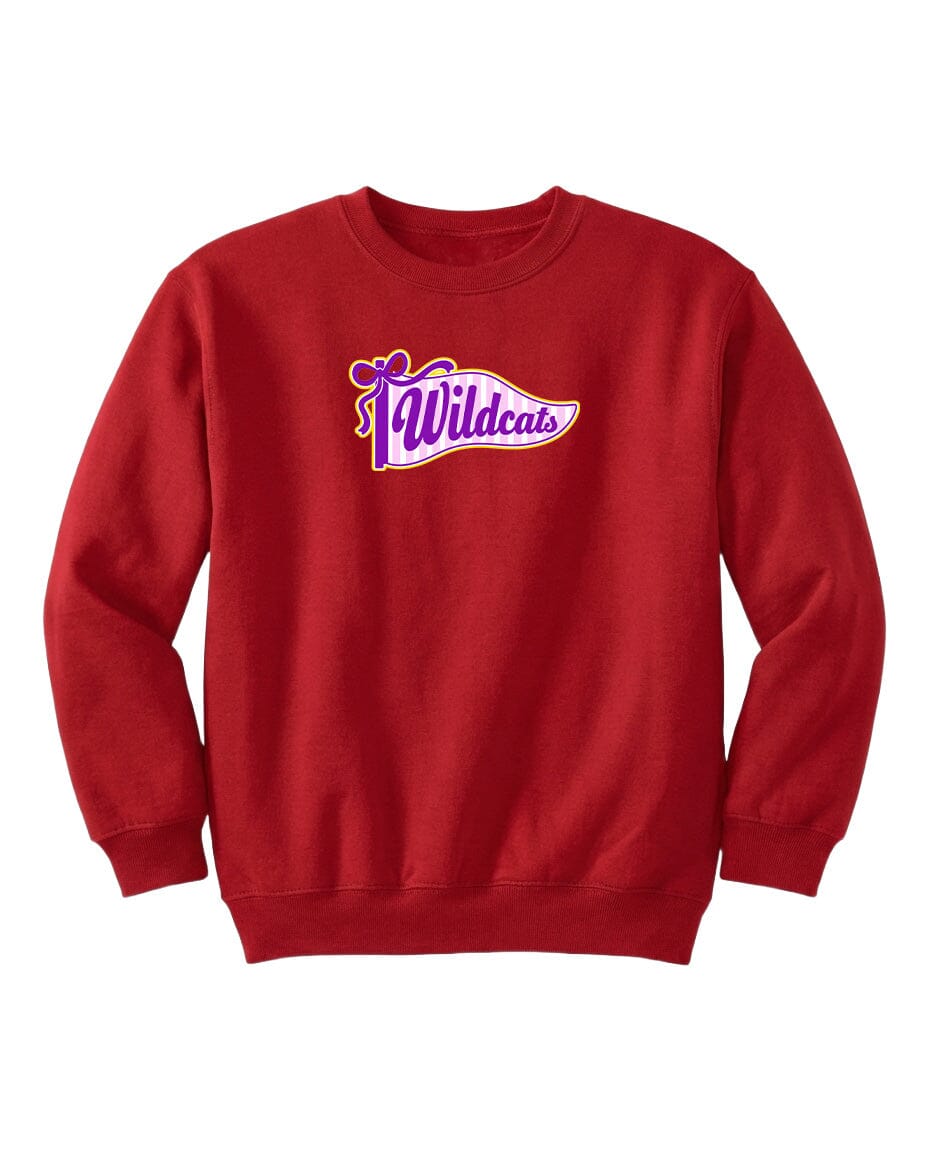 A red sweatshirt with a purple and white logo that says "Wildcats".