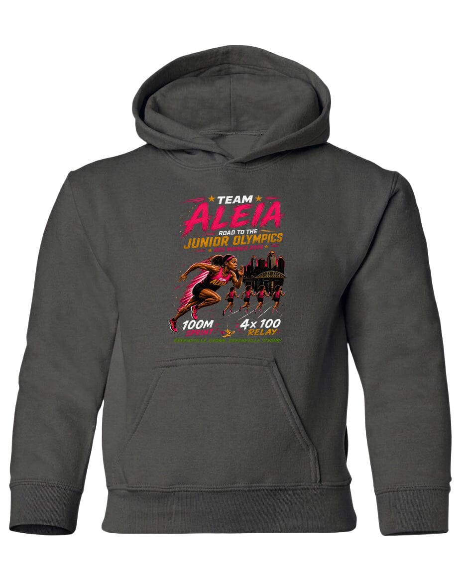 YOUTH Team Aleia Full Chest Logo T Shirt | Hoodie | Long Sleeve | Sweatshirt | Crew Neck | Tank Top Fiesta Doodle Heavyweight Hoodie YXS Charcoal waterproof vinyl sticker. dishwasher safe outdoor sticker.